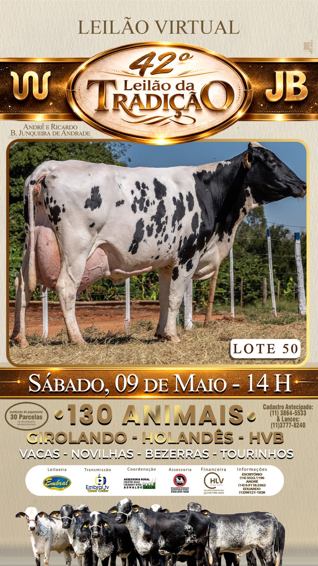 42º LEILÃO DA TRADIÇÃO | GADO GIROLANDO E HOLANDÊS HVB - lote 50