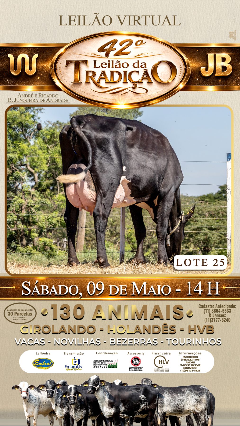 42º LEILÃO DA TRADIÇÃO | GADO GIROLANDO E HOLANDÊS HVB - lote 25