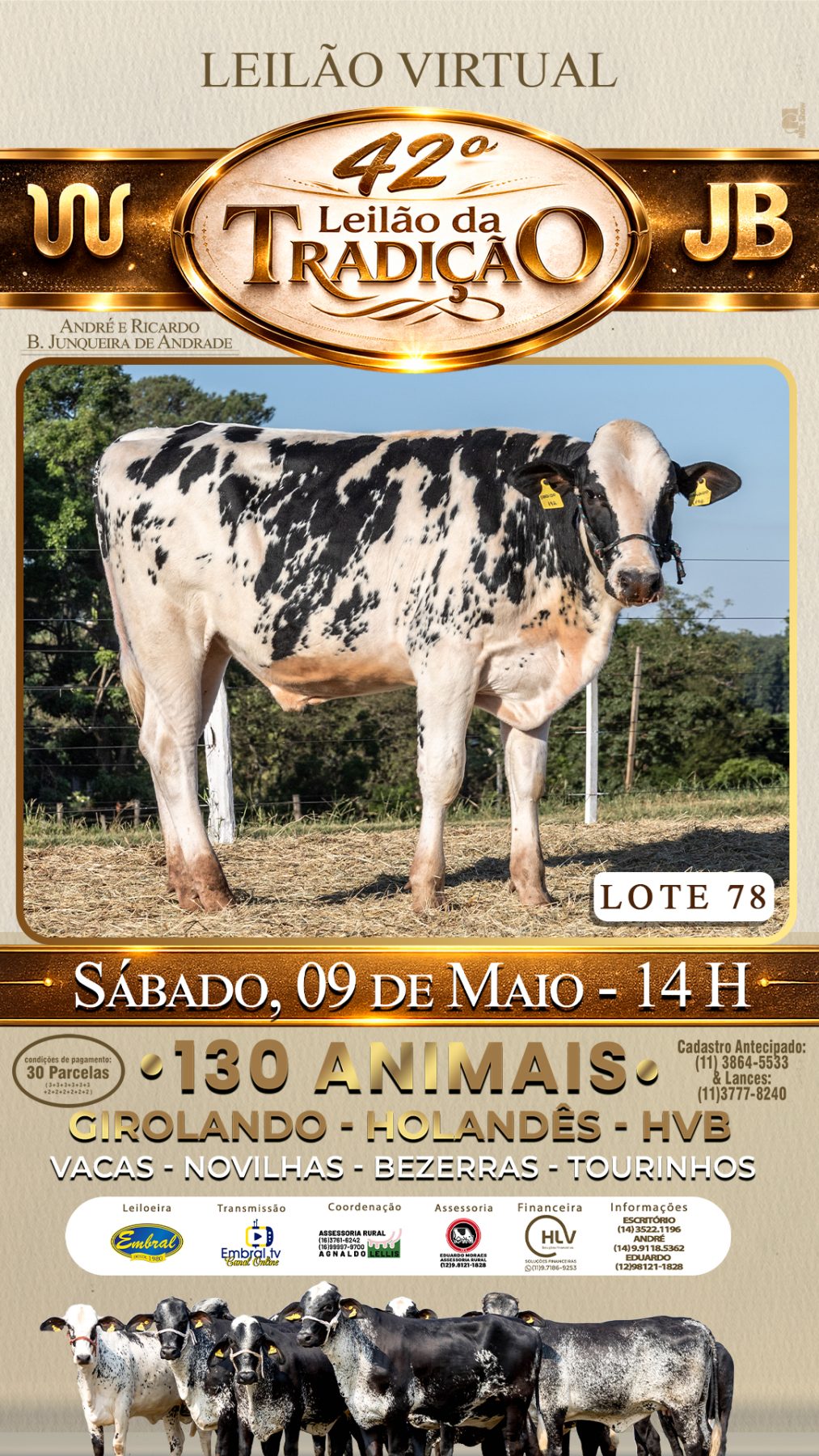 42º LEILÃO DA TRADIÇÃO | GADO GIROLANDO E HOLANDÊS HVB - lote 78