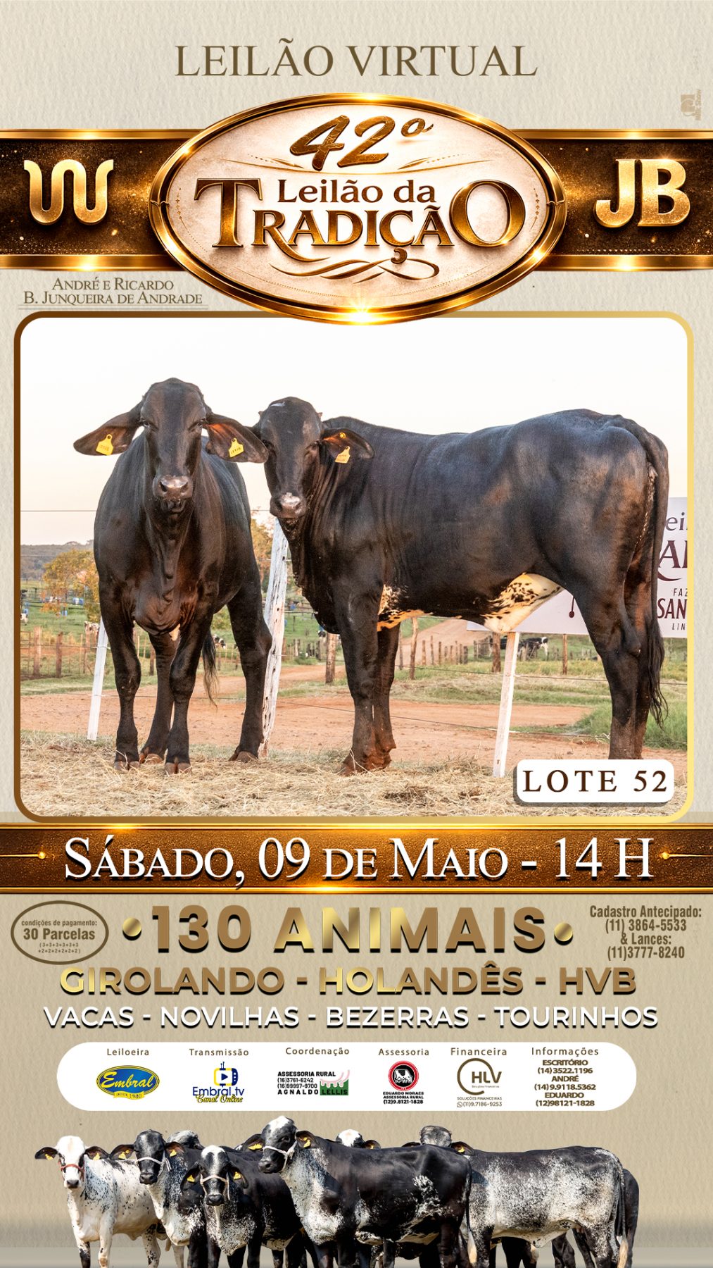42º LEILÃO DA TRADIÇÃO | GADO GIROLANDO E HOLANDÊS HVB - lote 52