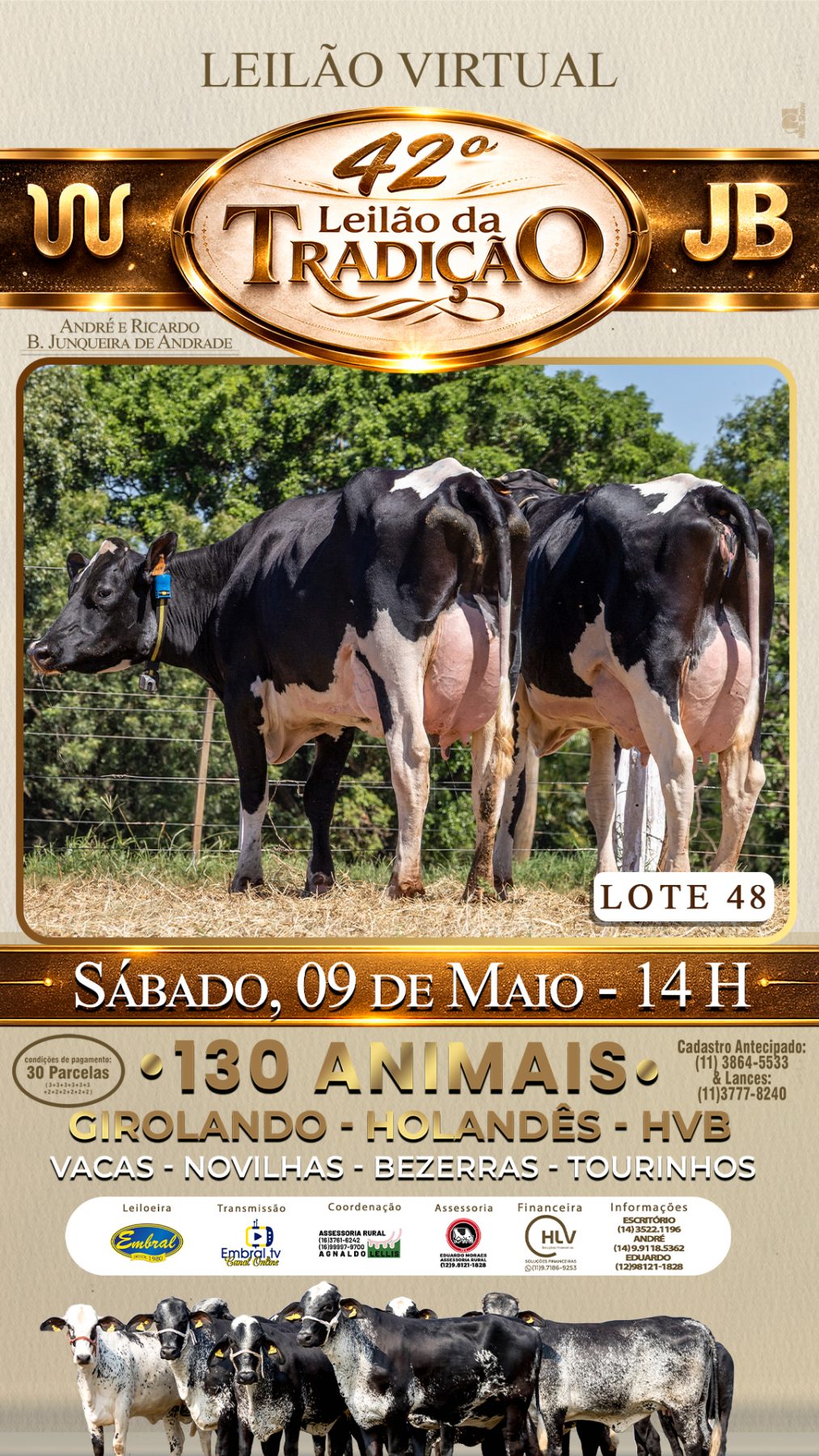 42º LEILÃO DA TRADIÇÃO | GADO GIROLANDO E HOLANDÊS HVB - lote 48