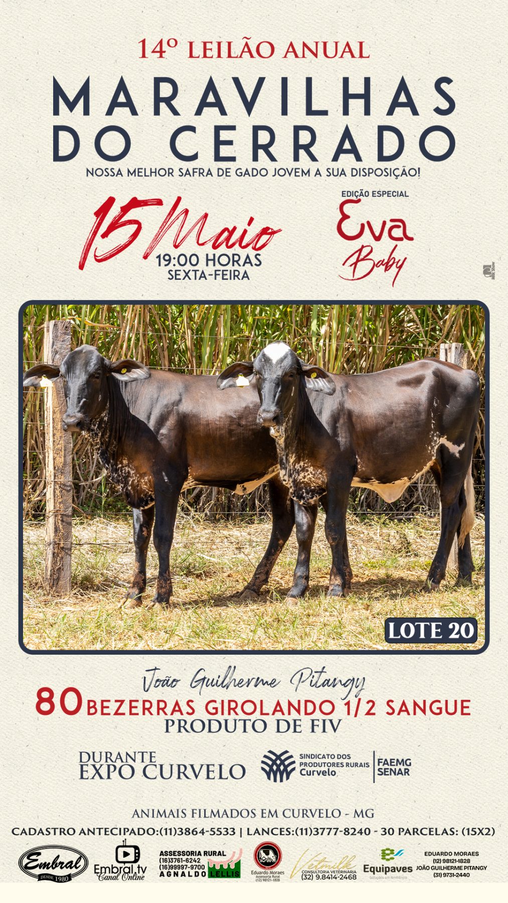 14º LEILÃO ANUAL MARAVILHAS DO CERRADO | GADO GIROLANDO 1/2 SANGUE - lote 19