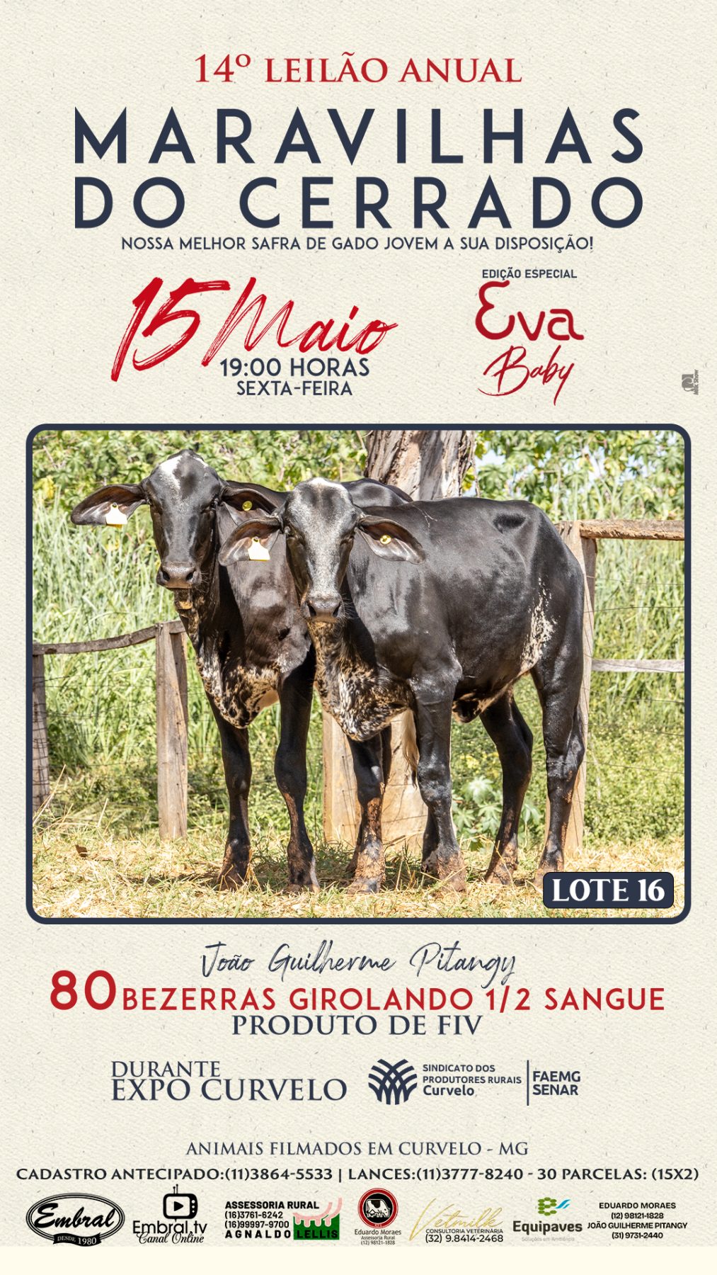 14º LEILÃO ANUAL MARAVILHAS DO CERRADO | GADO GIROLANDO 1/2 SANGUE - lote 15