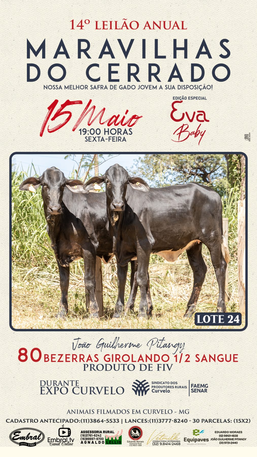 14º LEILÃO ANUAL MARAVILHAS DO CERRADO | GADO GIROLANDO 1/2 SANGUE - lote 23