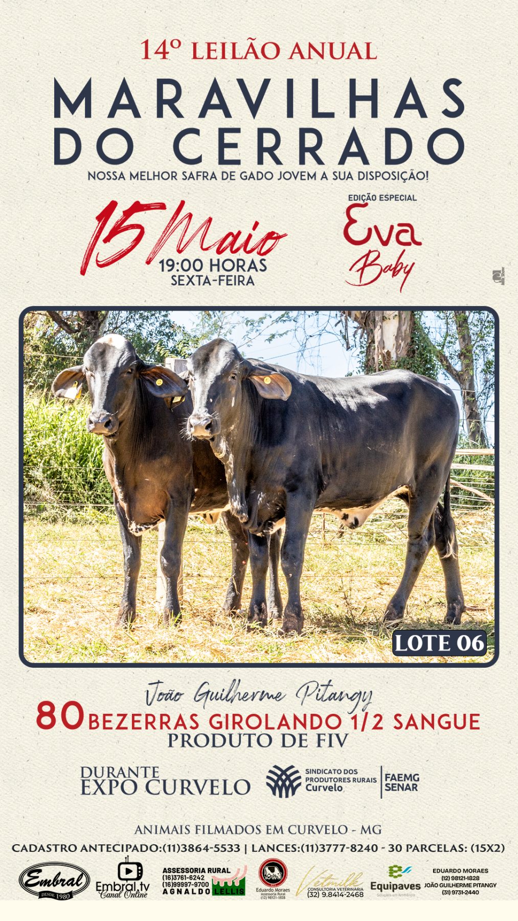 14º LEILÃO ANUAL MARAVILHAS DO CERRADO | GADO GIROLANDO 1/2 SANGUE - lote 6