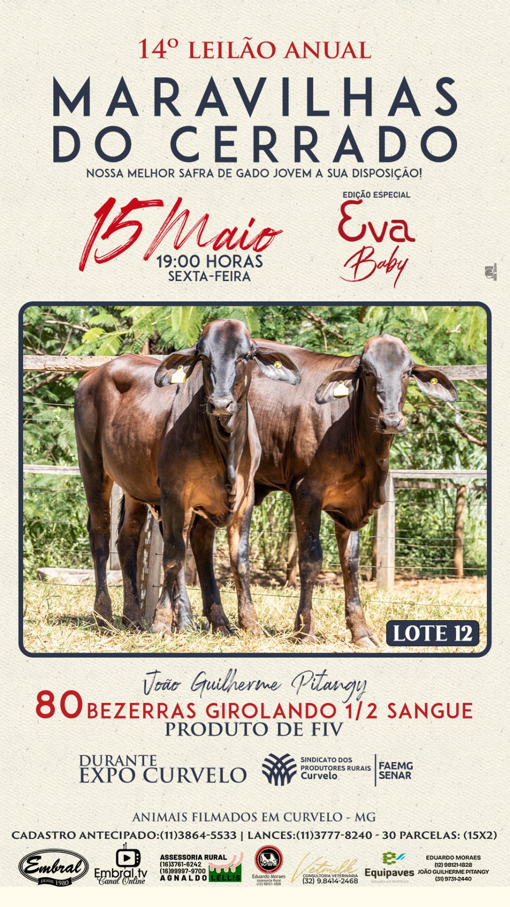 3º LEILÃO ANUAL SÍTIO UNIÃO | GADO HOLANDÊS HVB E HPB GC1 A GC6 - lote 12