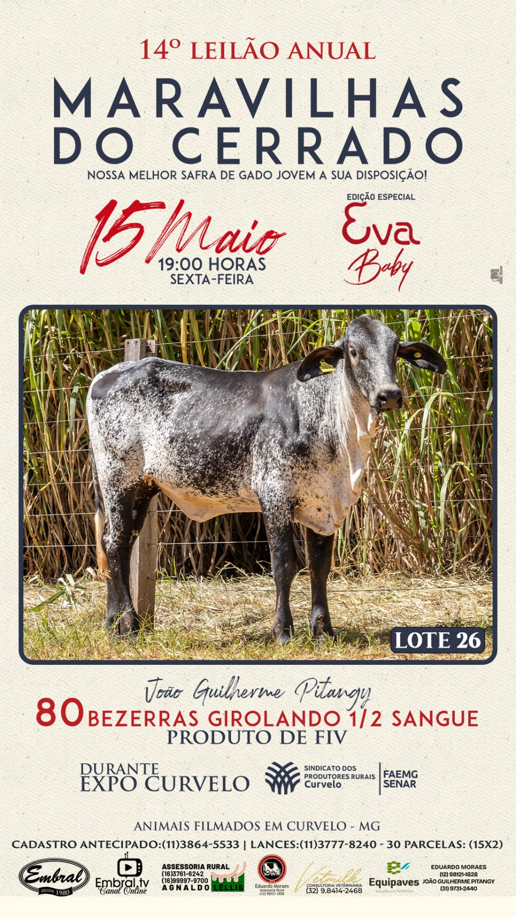 3º LEILÃO ANUAL SÍTIO UNIÃO | GADO HOLANDÊS HVB E HPB GC1 A GC6 - lote 25