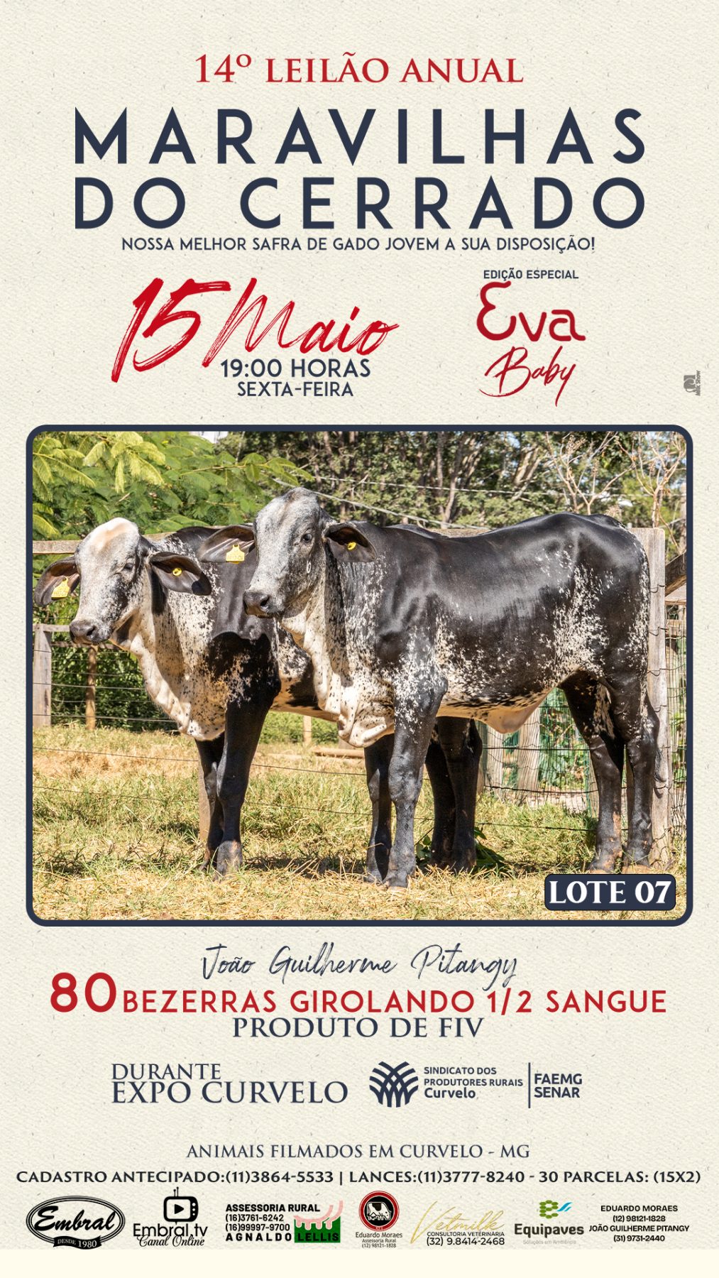 3º LEILÃO ANUAL SÍTIO UNIÃO | GADO HOLANDÊS HVB E HPB GC1 A GC6 - lote 7