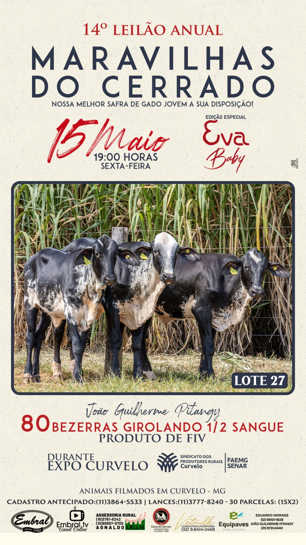 3º LEILÃO ANUAL SÍTIO UNIÃO | GADO HOLANDÊS HVB E HPB GC1 A GC6 - lote 26