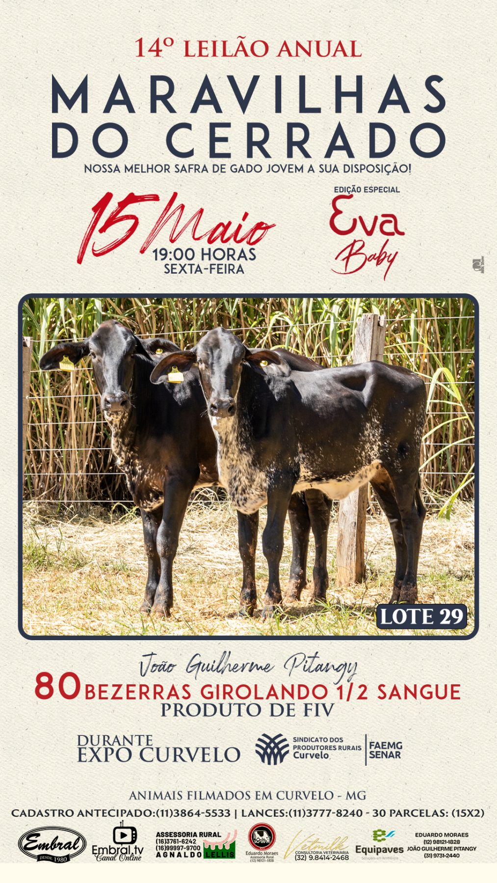 3º LEILÃO ANUAL SÍTIO UNIÃO | GADO HOLANDÊS HVB E HPB GC1 A GC6 - lote 28