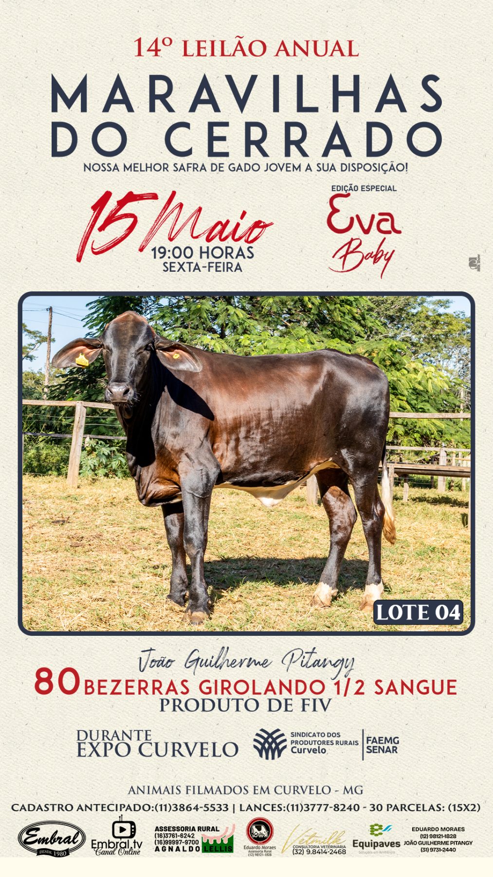 3º LEILÃO ANUAL SÍTIO UNIÃO | GADO HOLANDÊS HVB E HPB GC1 A GC6 - lote 4