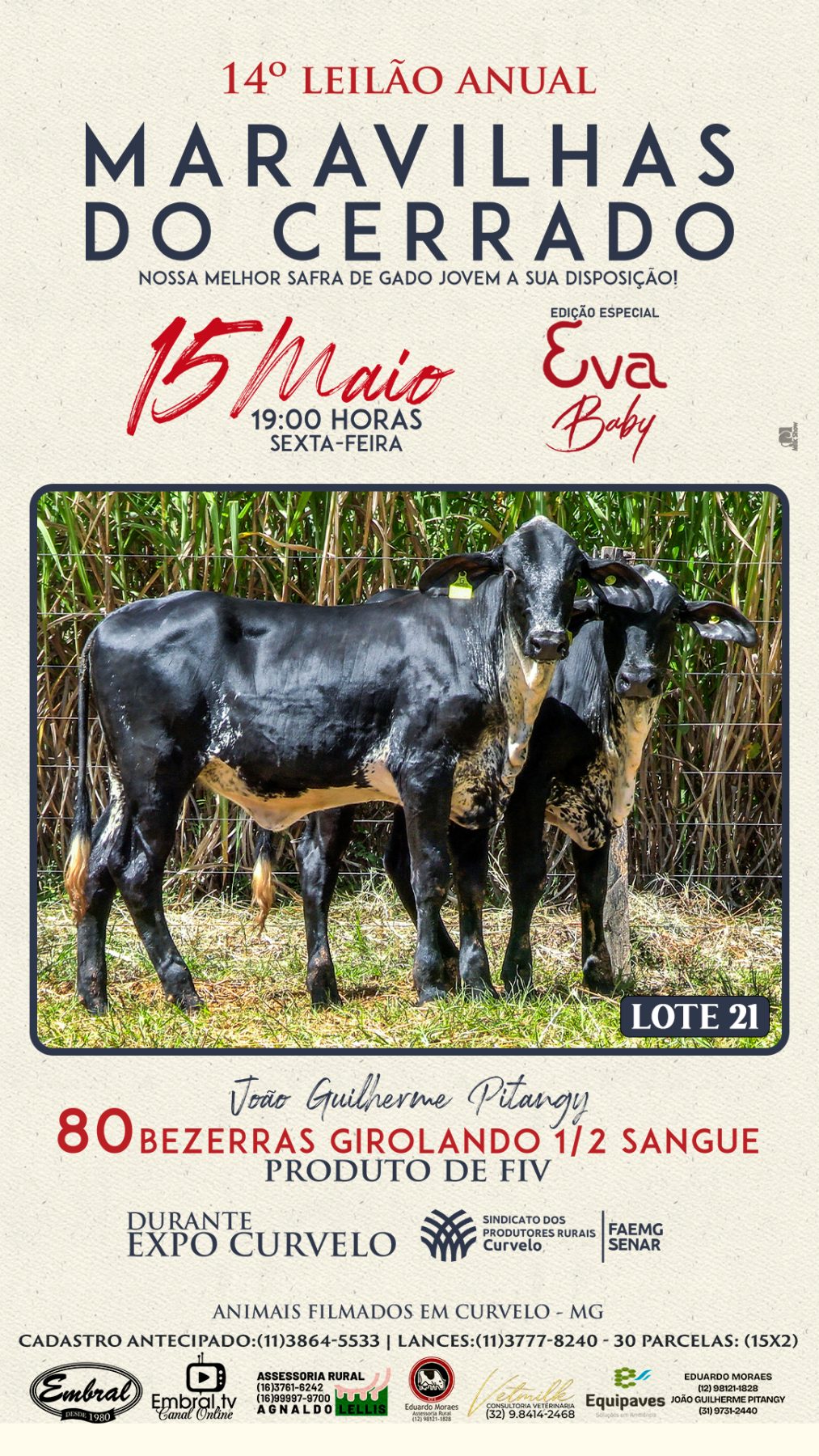 3º LEILÃO ANUAL SÍTIO UNIÃO | GADO HOLANDÊS HVB E HPB GC1 A GC6 - lote 20