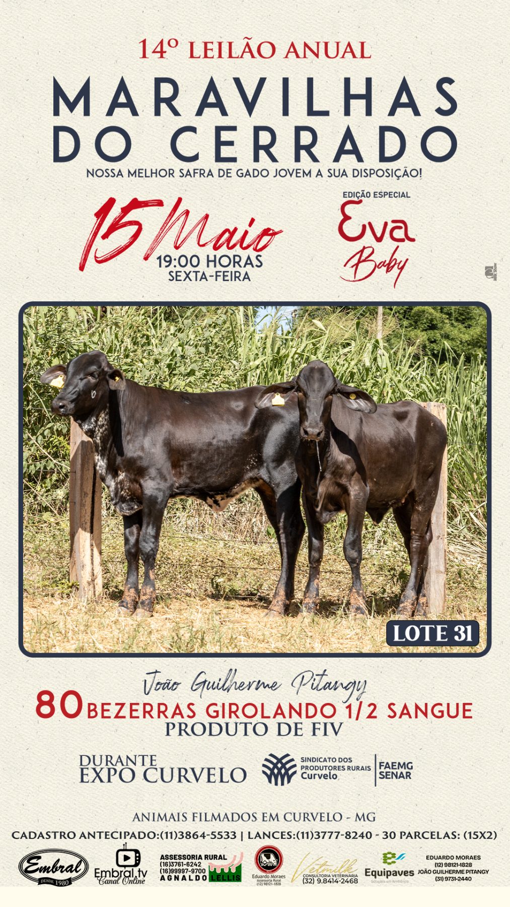 3º LEILÃO ANUAL SÍTIO UNIÃO | GADO HOLANDÊS HVB E HPB GC1 A GC6 - lote 30