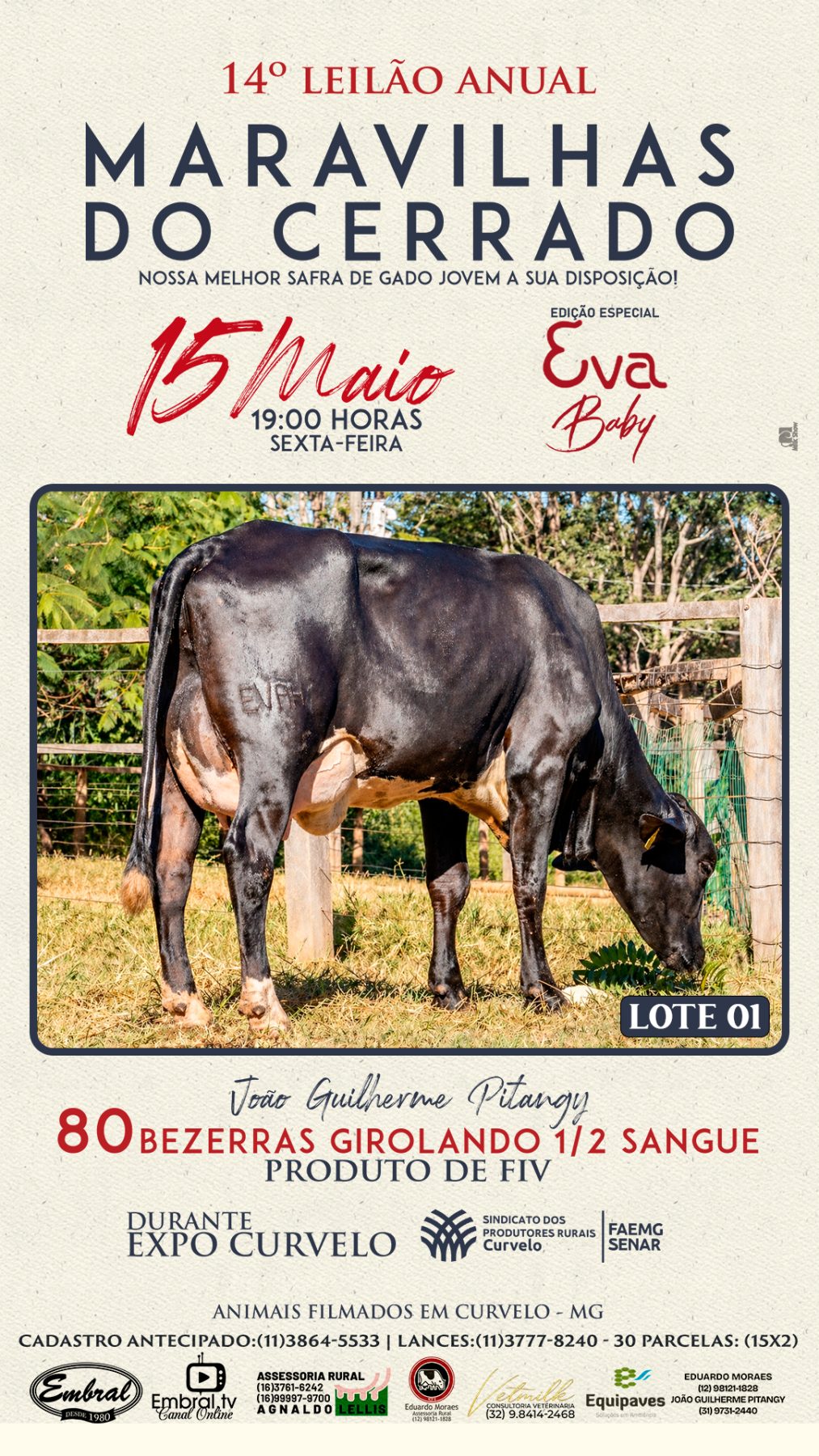 3º LEILÃO ANUAL SÍTIO UNIÃO | GADO HOLANDÊS HVB E HPB GC1 A GC6 - lote 1
