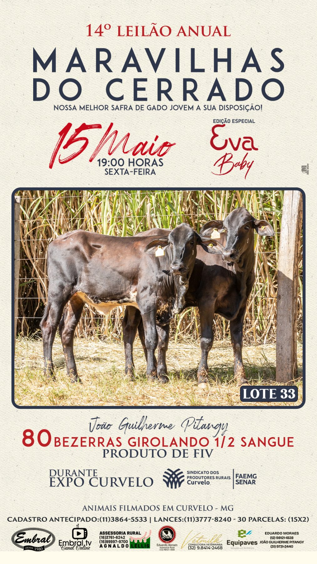 3º LEILÃO ANUAL SÍTIO UNIÃO | GADO HOLANDÊS HVB E HPB GC1 A GC6 - lote 32