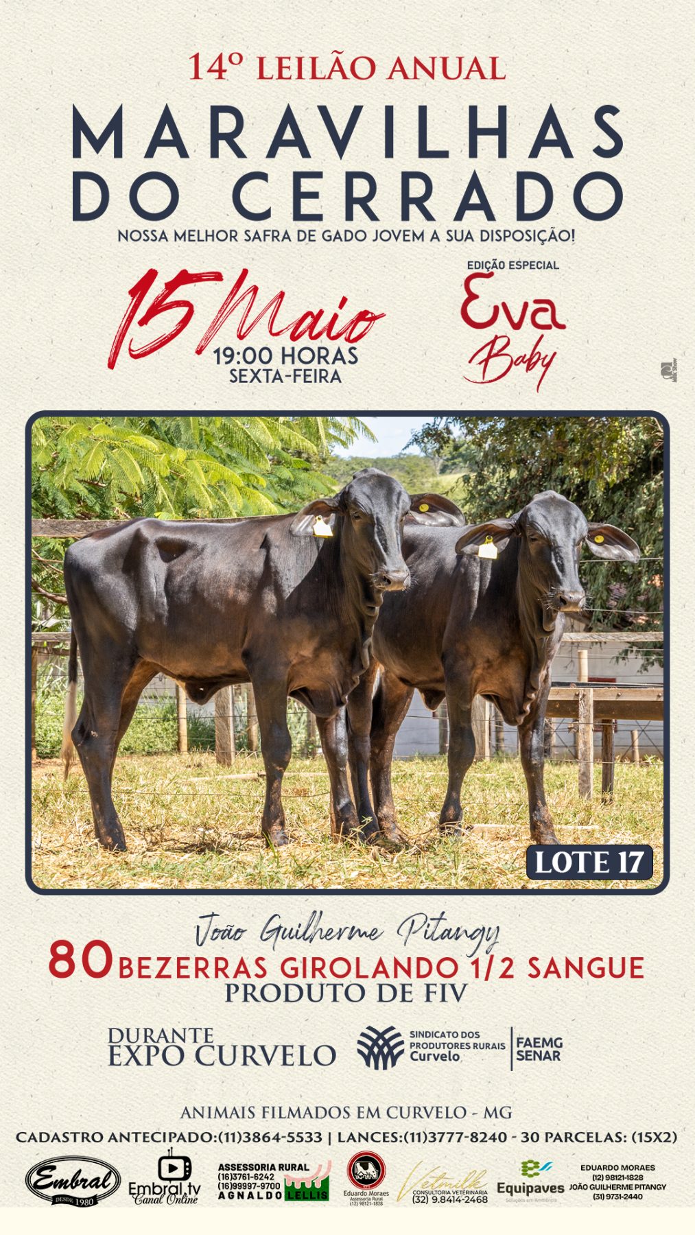3º LEILÃO ANUAL SÍTIO UNIÃO | GADO HOLANDÊS HVB E HPB GC1 A GC6 - lote 16