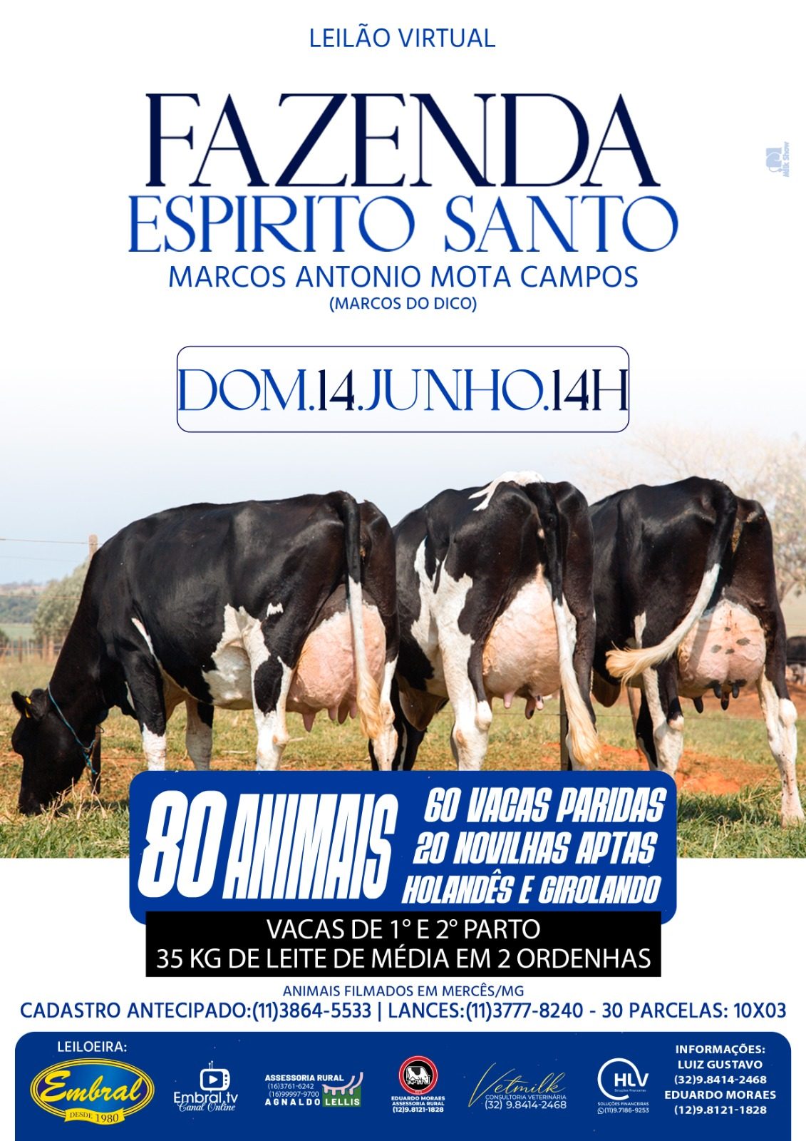 LEILÃO VIRTUAL FAZENDA ESPÍRITO SANTO | GADO HOLANDÊS E GIROLANDO