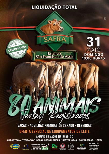 LIQUIDAÇÃO TOTAL ESTÂNCIA SÃO FRANCISCO DE ASSIS | GADO JERSEY