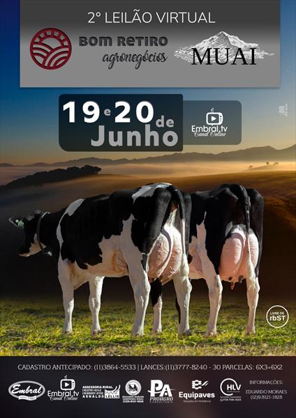 2º LEILÃO VIRTUAL BOM RETIRO AGRONEGÓCIOS - MUAI | GADO HOLANDÊS - DIA 2