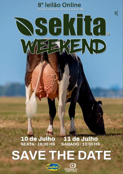 8º LEILÃO ONLINE SEKITA WEEKEND | GADO HOLANDÊS