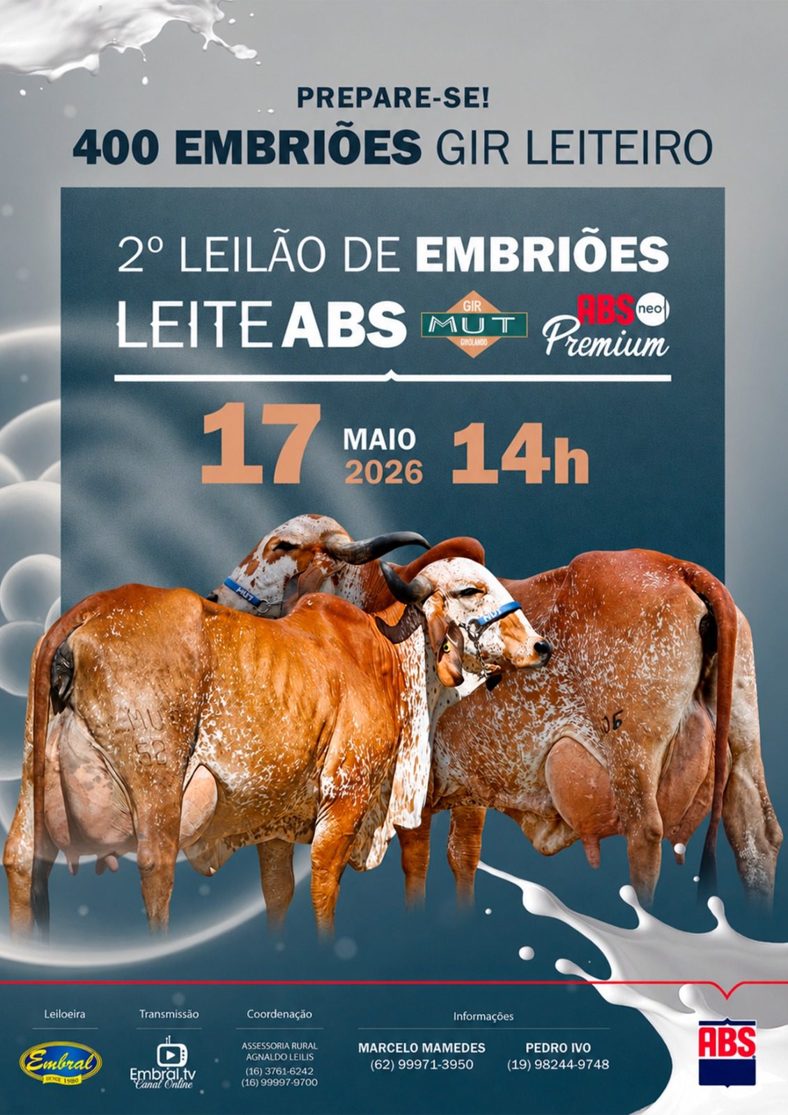2º LEILÃO DE EMBRIÕES LEITE ABS E MUTUM | EMBRIÕES GIR LEITEIRO