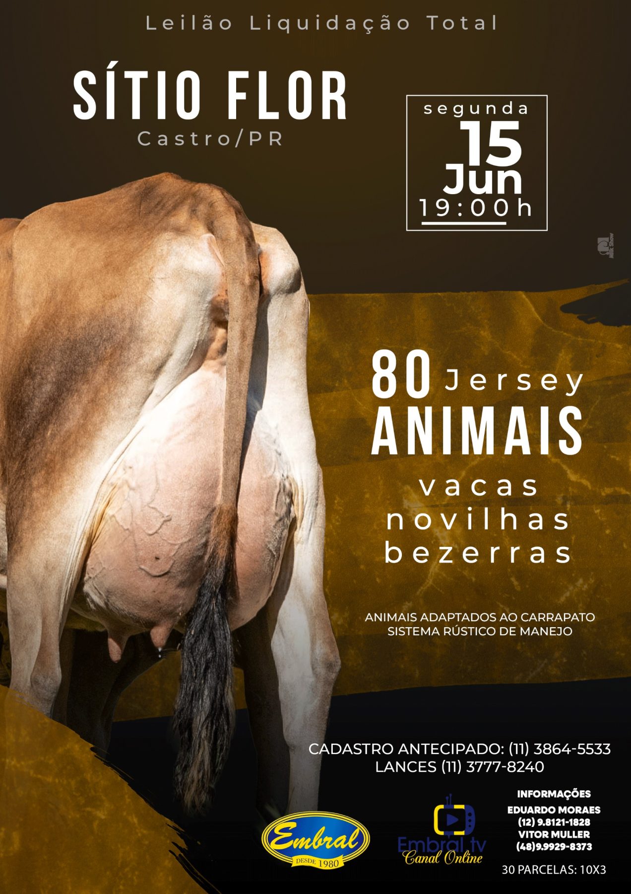 LEILÃO LIQUIDAÇÃO TOTAL SÍTIO FLOR | GADO JERSEY