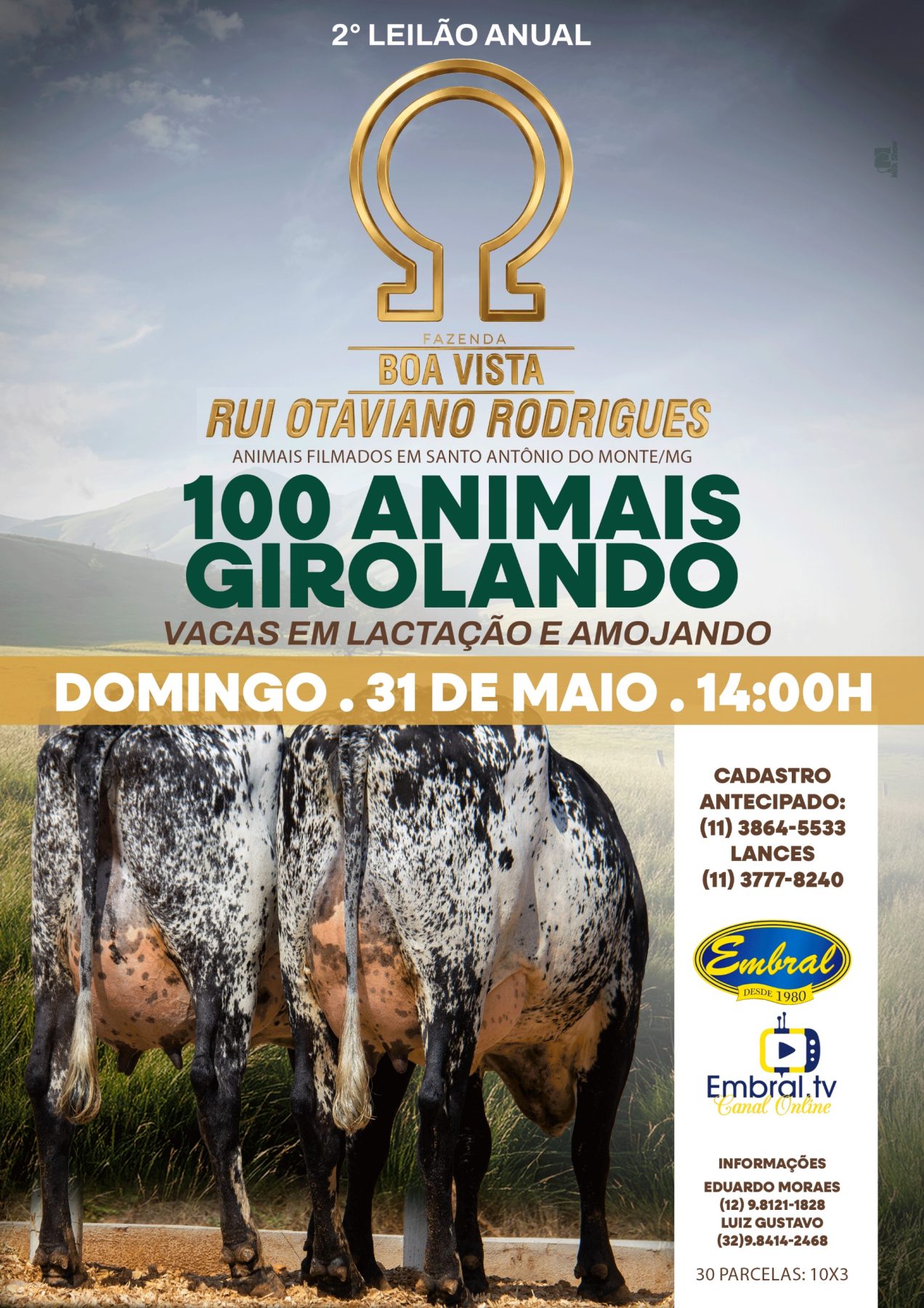 2º LEILÃO ANUAL FAZENDA BOA VISTA | GADO GIROLANDO