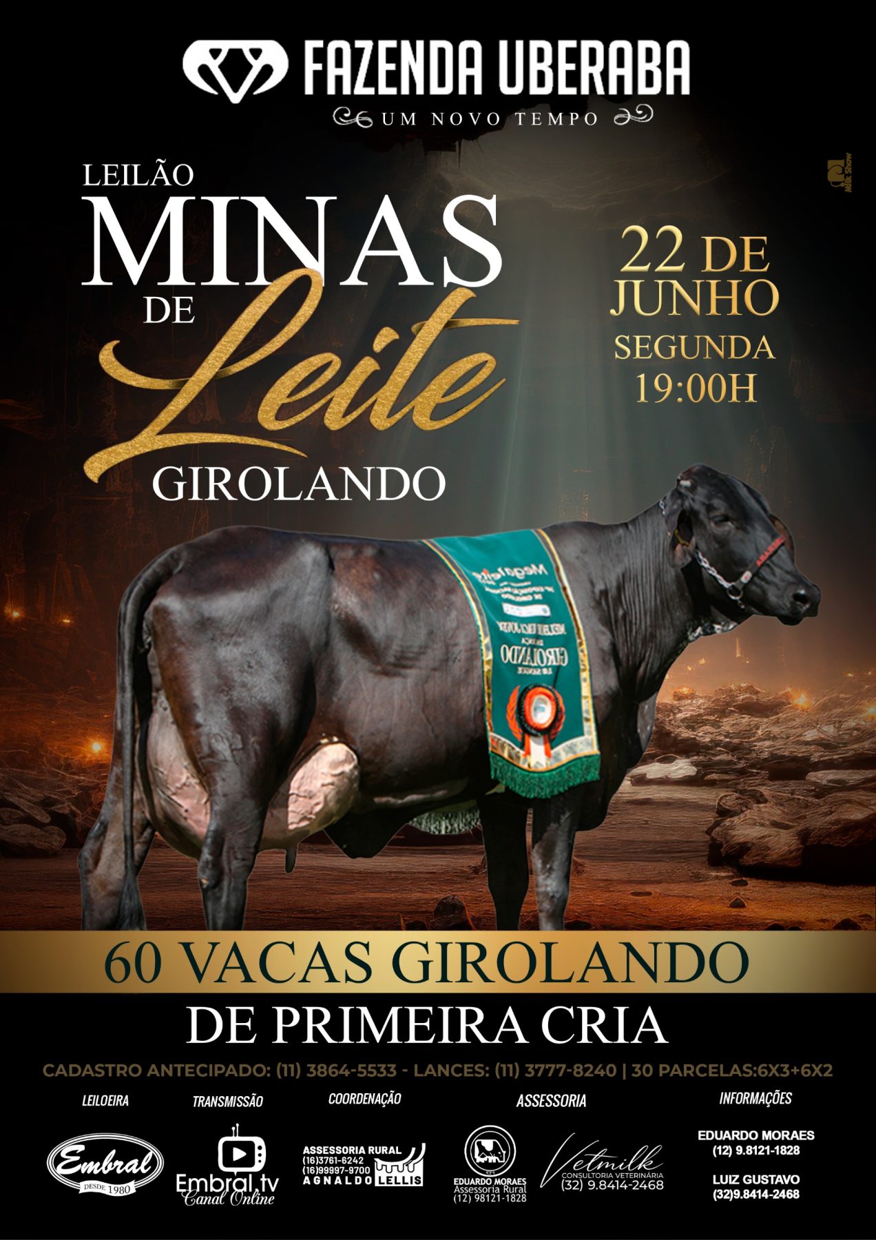 LEILÃO MINAS DE LEITE - FAZENDA UBERABA | GADO GIROLANDO