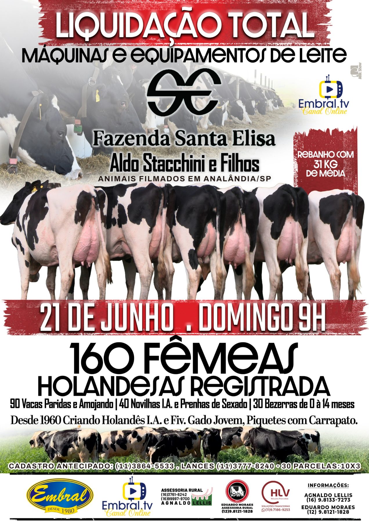 LEILÃO LIQUIDAÇÃO TOTAL FAZENDA SANTA ELISA | GADO HOLANDÊS