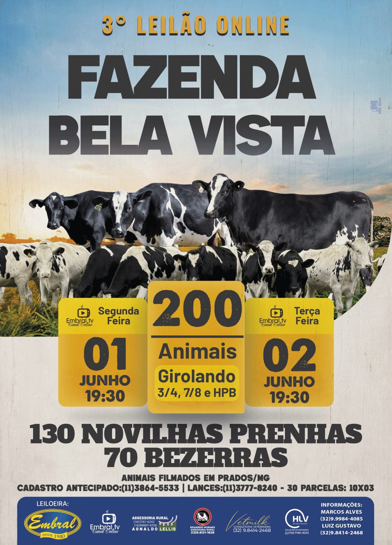 3º LEILÃO ONLINE FAZENDA BELA VISTA - DIA 2 | GADO GIROLANDO