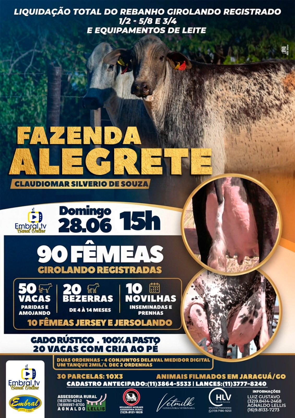 LEILÃO LIQUIDAÇÃO DO REBANHO FAZENDA ALEGRETE | GADO GIROLANDO E EQUIPAMENTOS DE LEITE