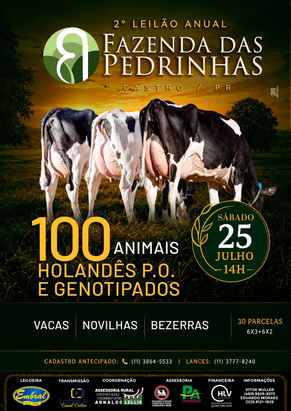 2º LEILÃO ANUAL FAZENDA DAS PEDRINHAS | GADO HOLANDÊS