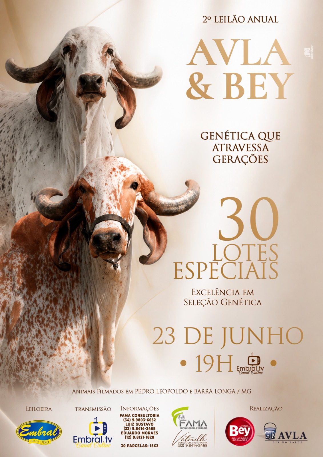 2ºLEILÃO ANUAL AVLA & BEY | GADO GIR