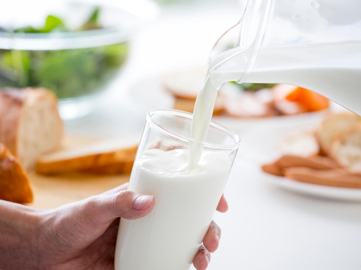 LATICÍNIOS FUNCIONAIS AMPLIAM FRONTEIRAS: DA SAÚDE INTESTINAL AO APOIO AO SONO