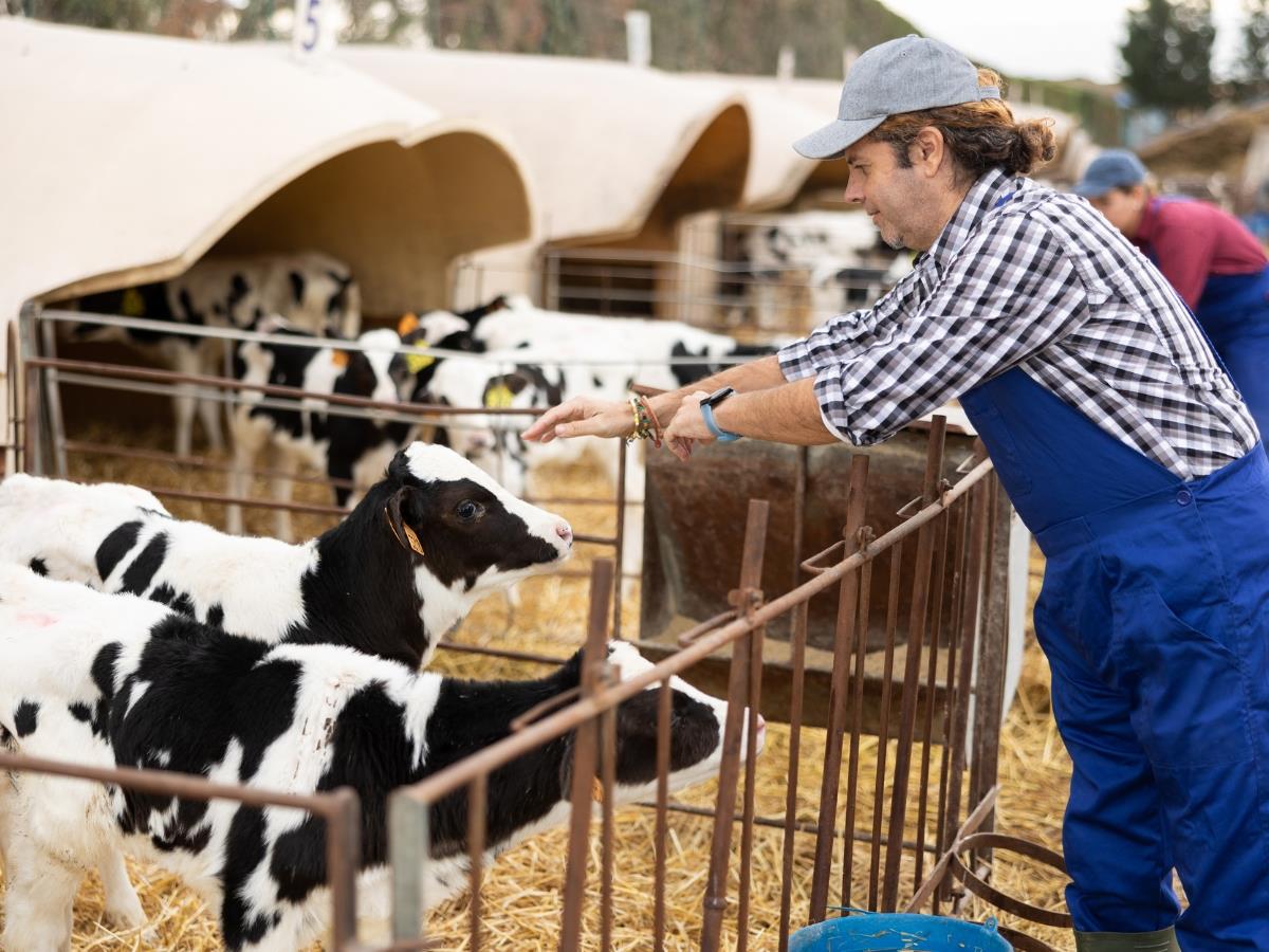 AGRONEGÓCIO RESPONDE POR MAIS DE UM QUARTO DOS EMPREGOS NO BRASIL