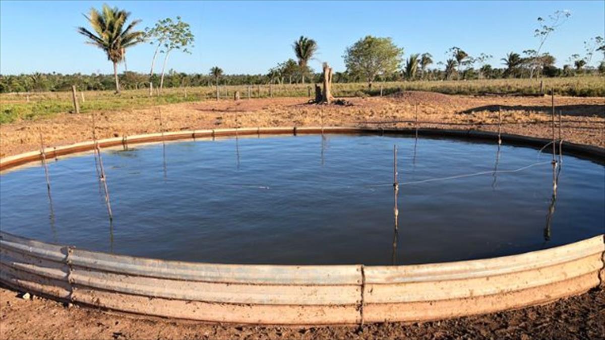 ÁGUA PARA O GADO: CONFIRA 9 DICAS VALIOSAS PARA A HIDRATAÇÃO DO REBANHO