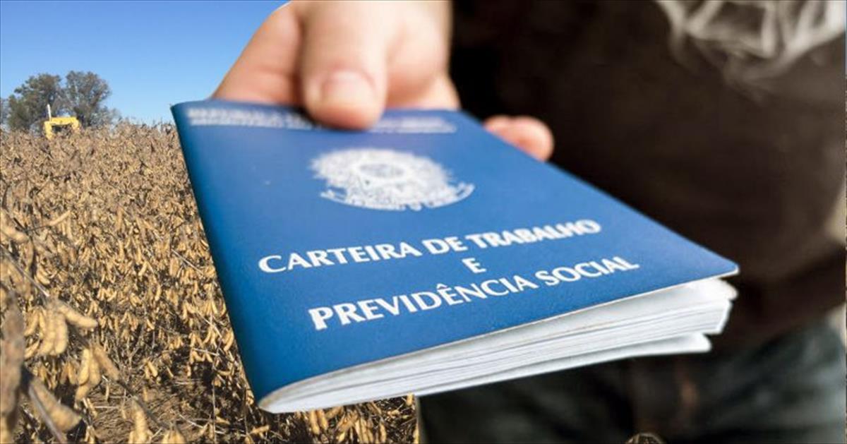 EM SP, AGROPECUÁRIA MANTÉM MAIS DE 350 MIL EMPREGOS