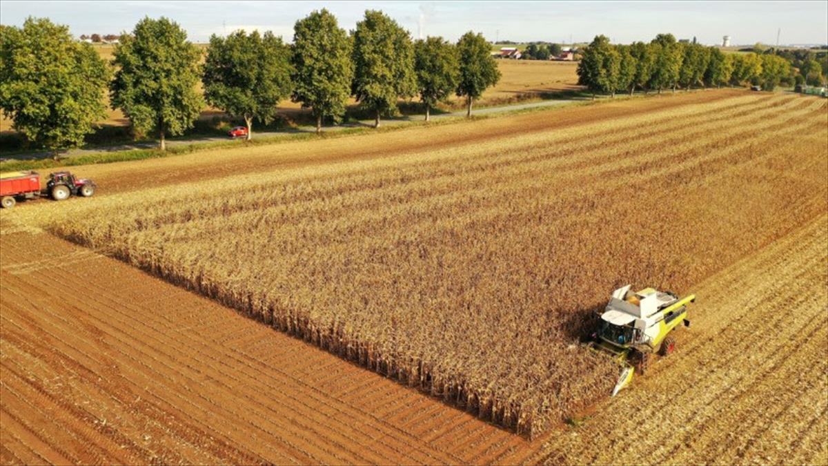 GOVERNO ELEVA PROJEÇÃO DO VALOR BRUTO DA PRODUÇÃO AGROPECUÁRIA EM 2023 A R$ 1,256 TRI
