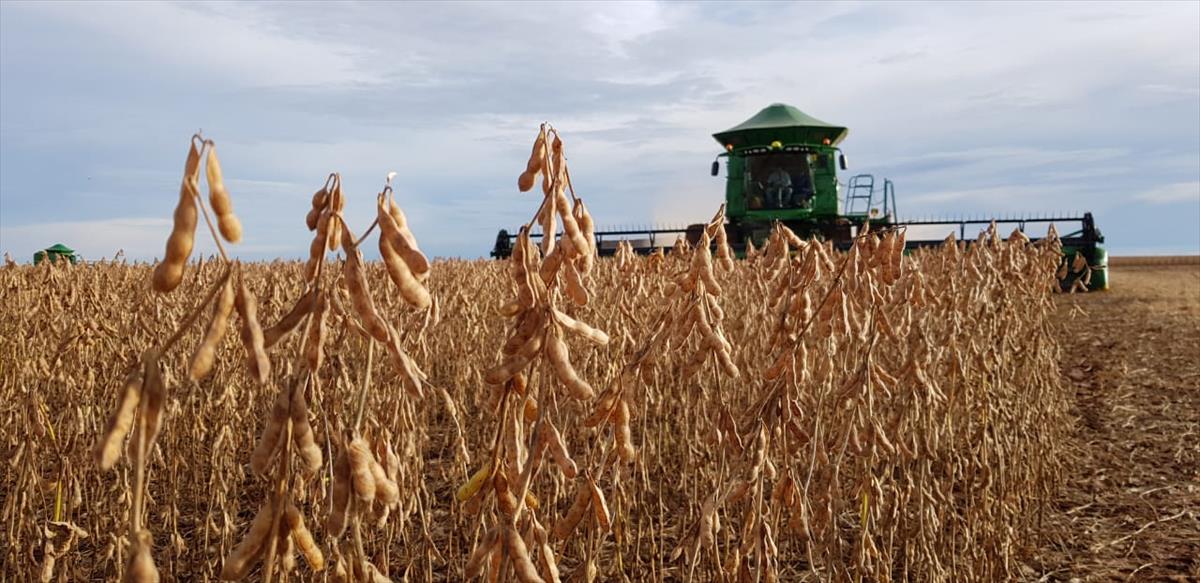 GOVERNO ELEVA PROJEÇÃO DO VALOR BRUTO DA PRODUÇÃO AGROPECUÁRIA EM 2023 A R$ 1,256 TRI