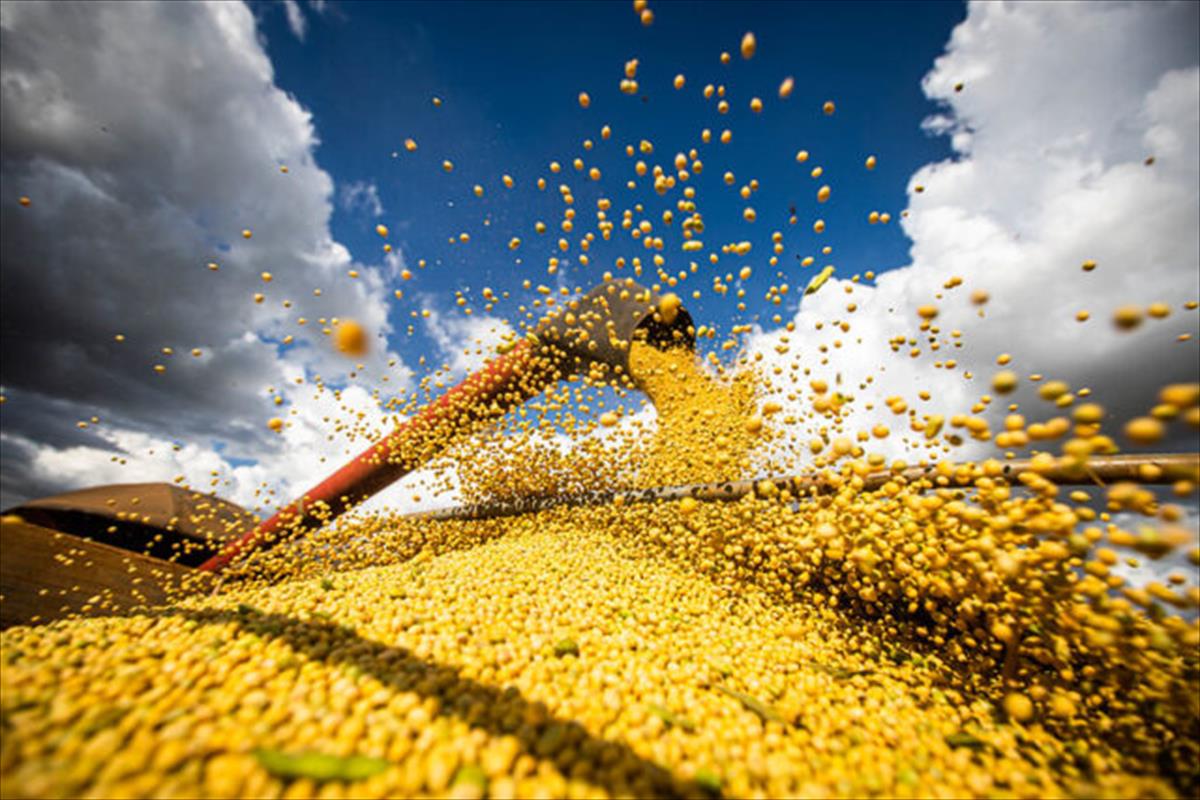 IPEA PREVÊ ALTA DO PIB AGROPECUÁRIO DE 11,6% EM 2023