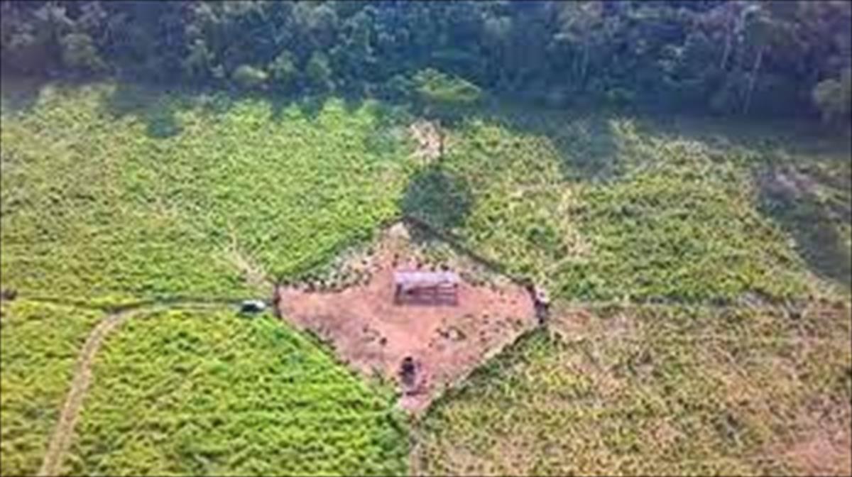 QUANTO MAIS DIVIDIR O PASTO, MAIS GADO VAI CABER NA FAZENDA, AFIRMA ESPECIALISTA